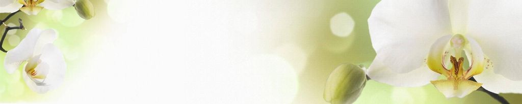 Cover photo for Vanda Battiston's Obituary