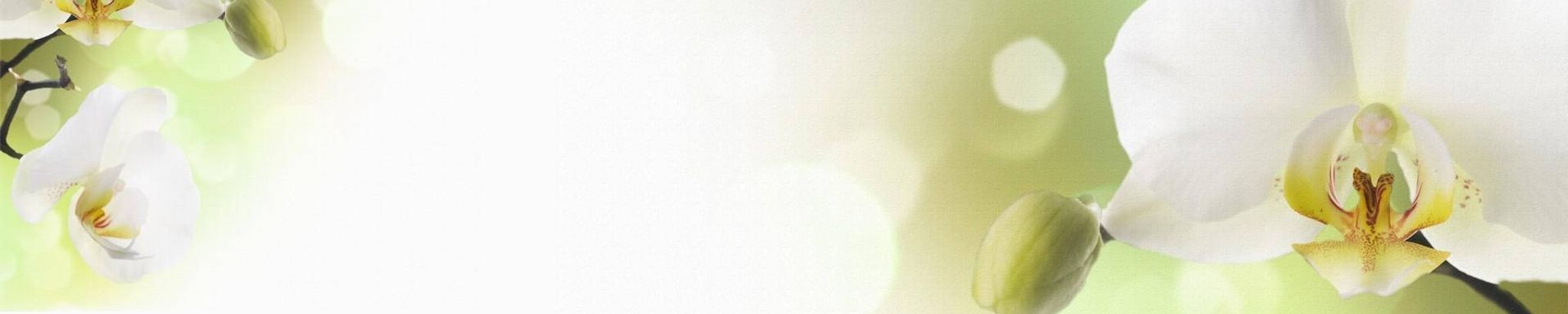 Cover for Vanda Battiston's Obituary