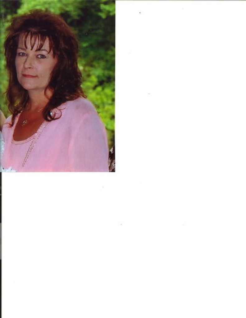Phyllis C. Hammock Profile Photo