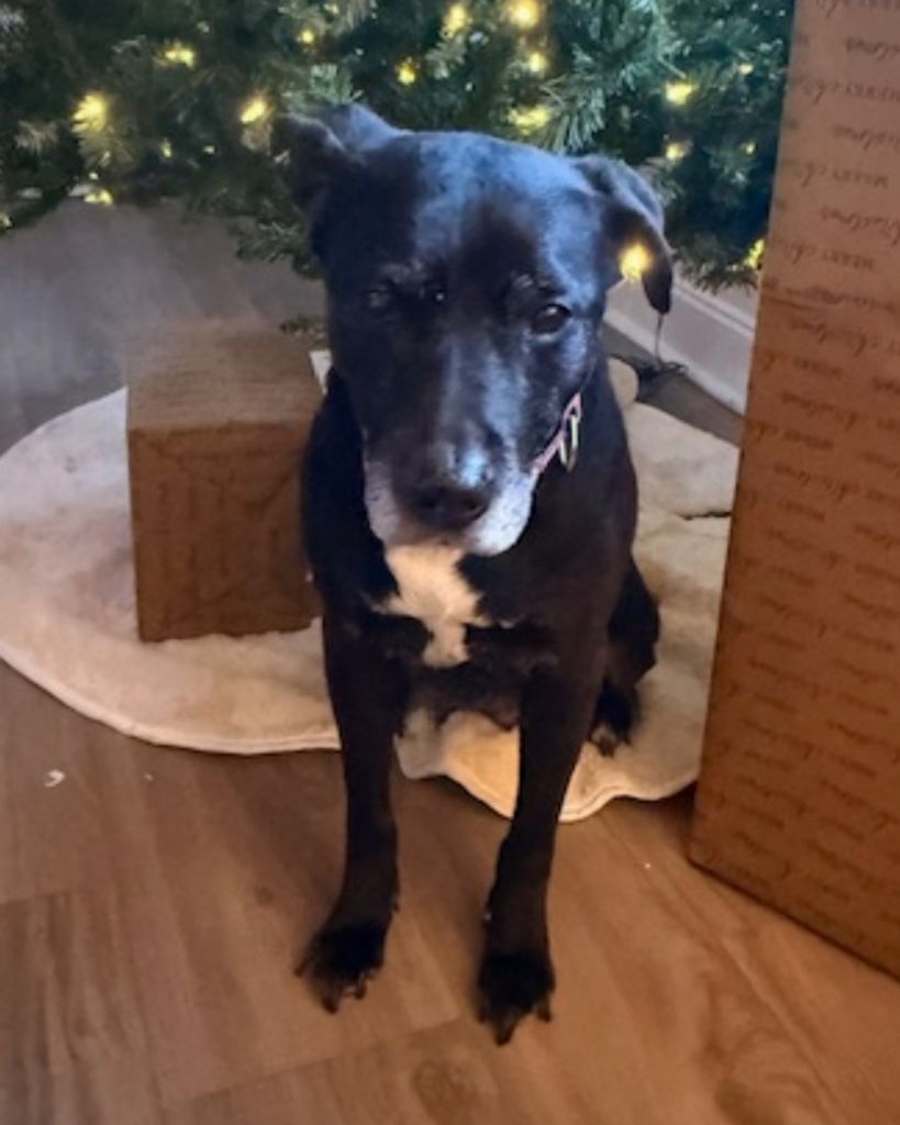 Baby Girl Foster-Allen