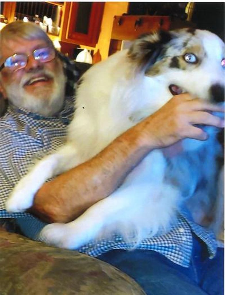 William Stephen Holsinger Sr