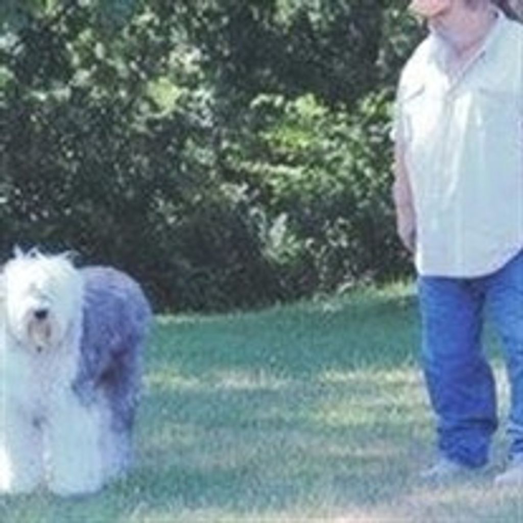 Randy W Howell