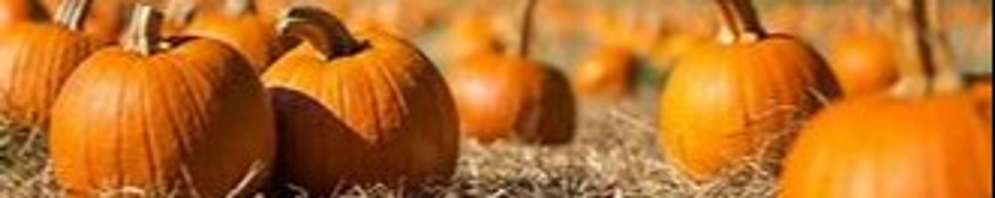 Cover for Cheryl Kay O'Neal's Obituary