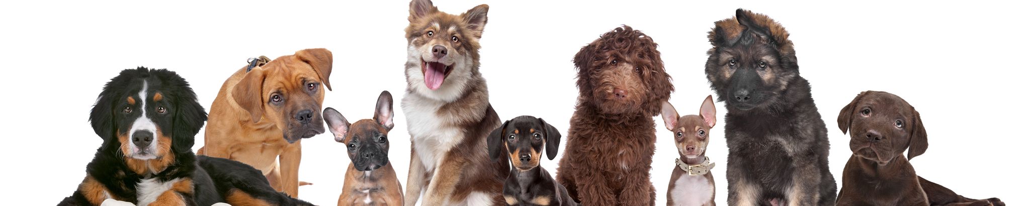 Cover for Moncelle Chaulk's Obituary