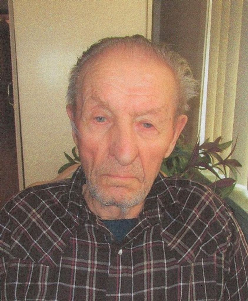 David Stecyk Profile Photo