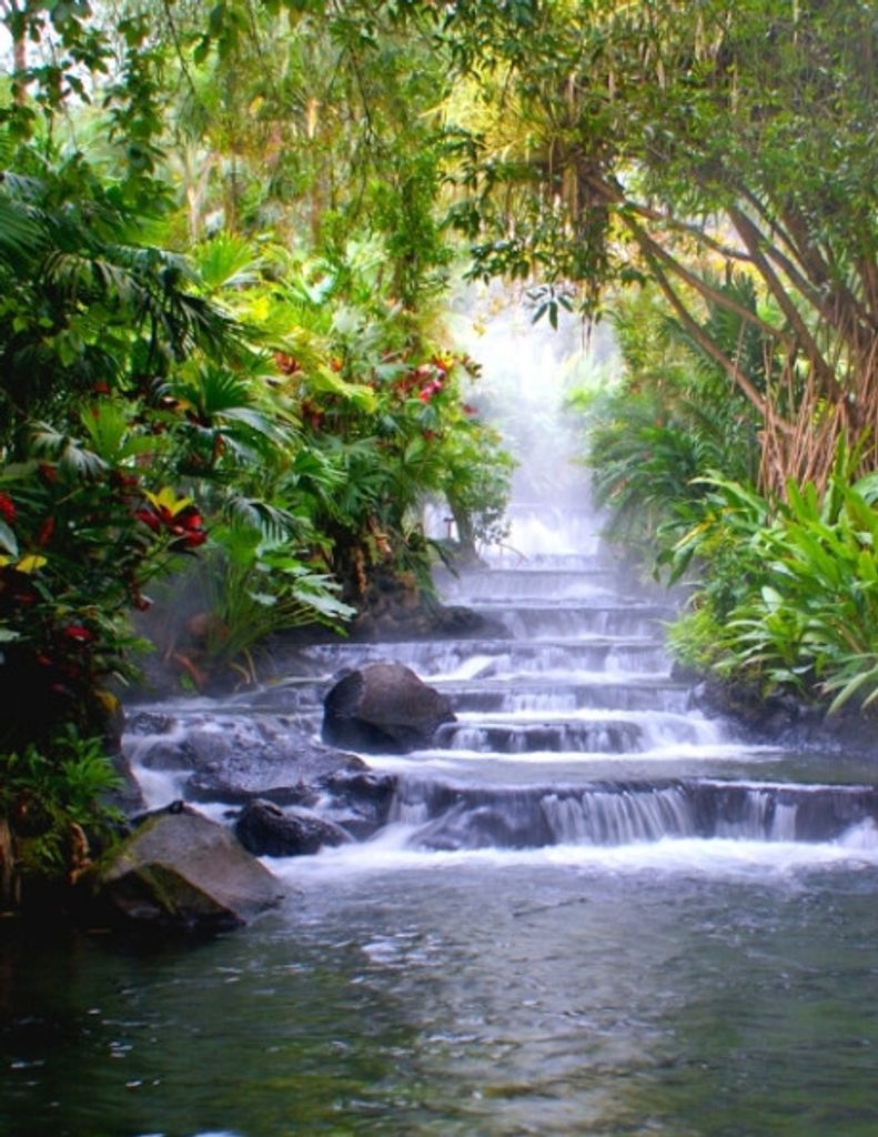 Patricia "Patti" Anne Mullin Profile Photo