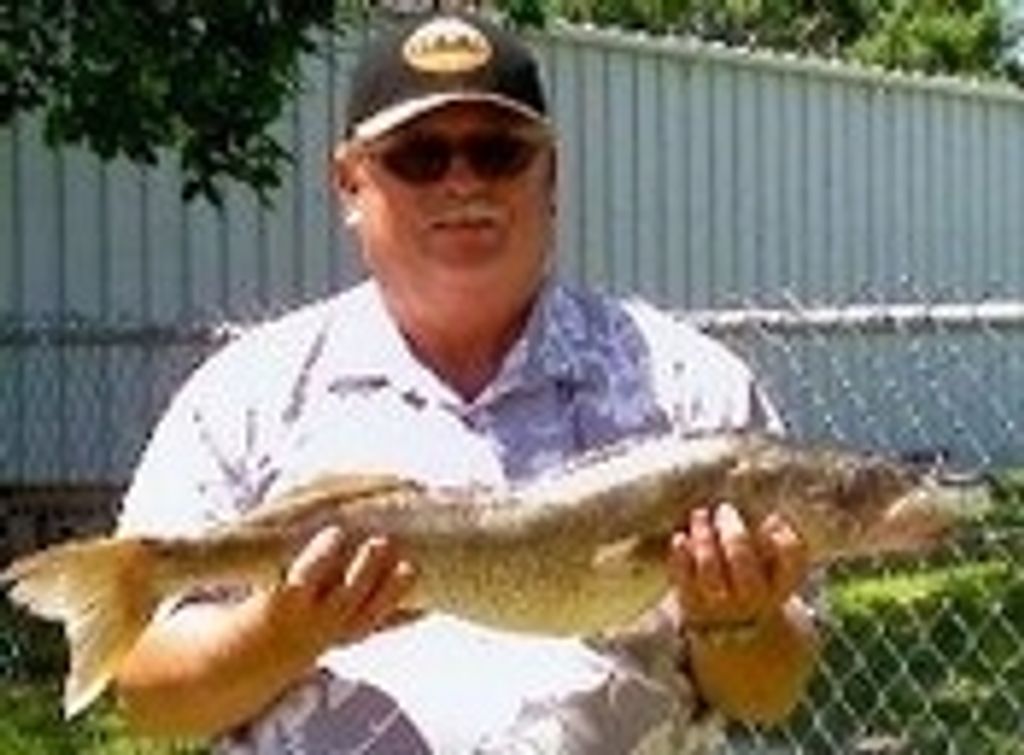 Stephen Mitchell Profile Photo
