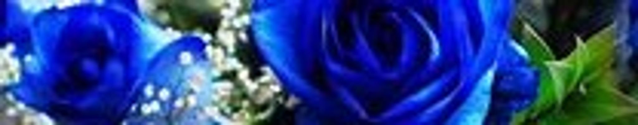 Cover for Vanessa Simpkins's Obituary