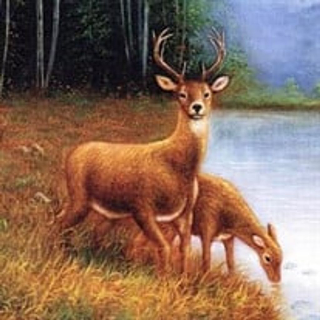 Roy Darrell Payne