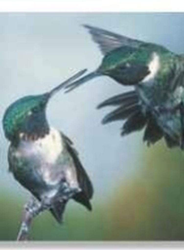 Joann Eileen Rolland