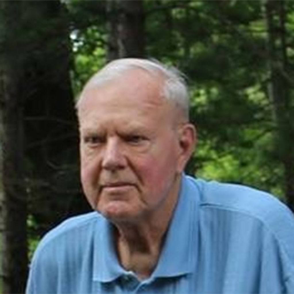 Tom Straiton Profile Photo