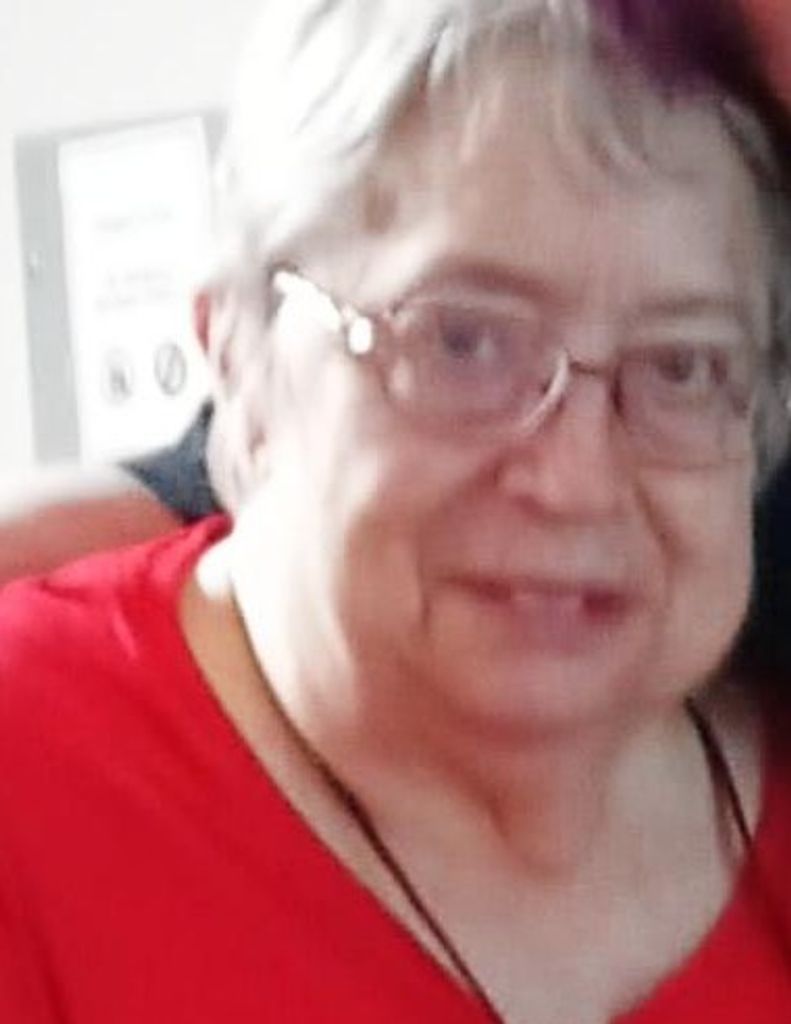 Patricia Louise (Ronevich)  Hollingsworth