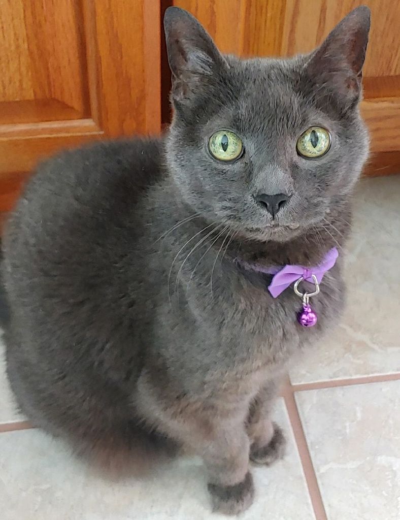 Babs Mingle Profile Photo