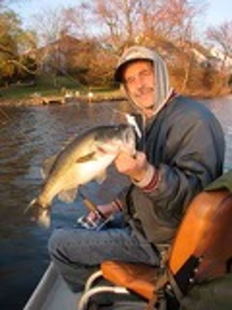 Dale D Martin Profile Photo