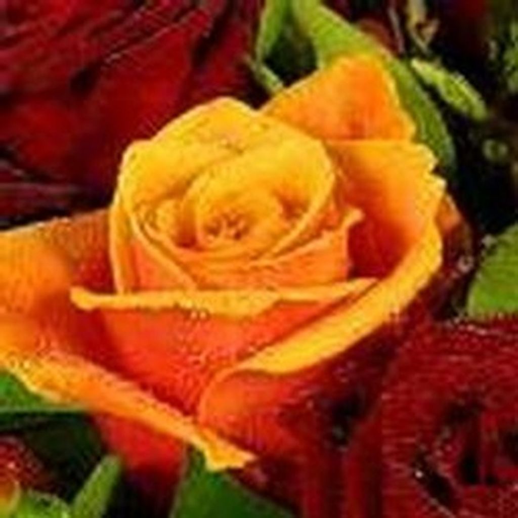 Joann Mcfee