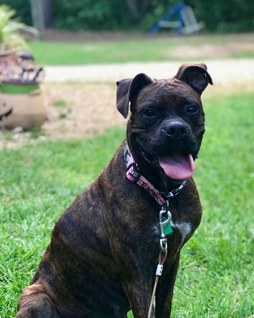 Grace Harton Profile Photo