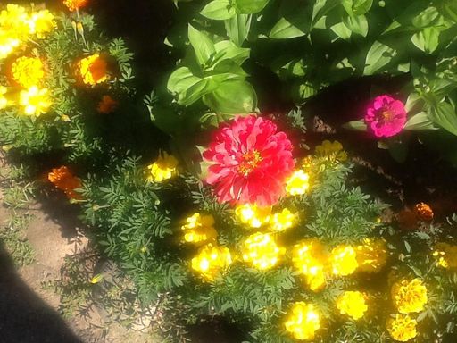 Sandra L. Stowers photo gallery thumbnail 44 of 100