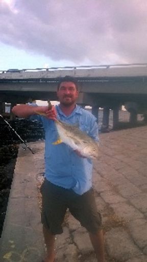 David Scott King Profile Photo