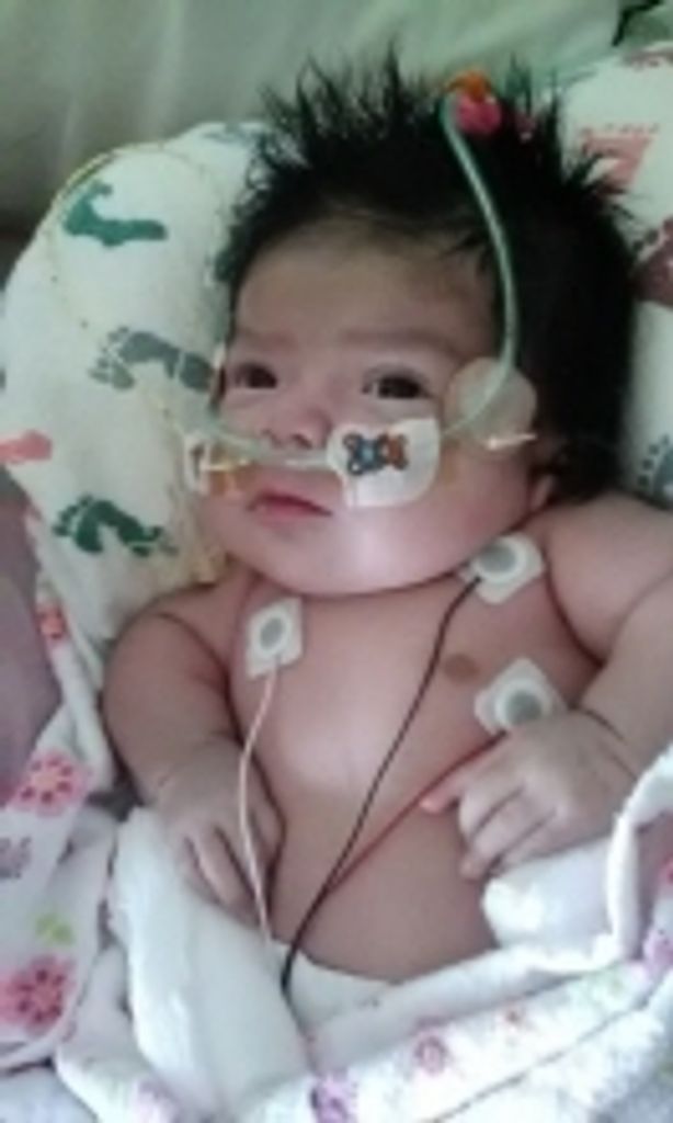 Faith Rose Christian