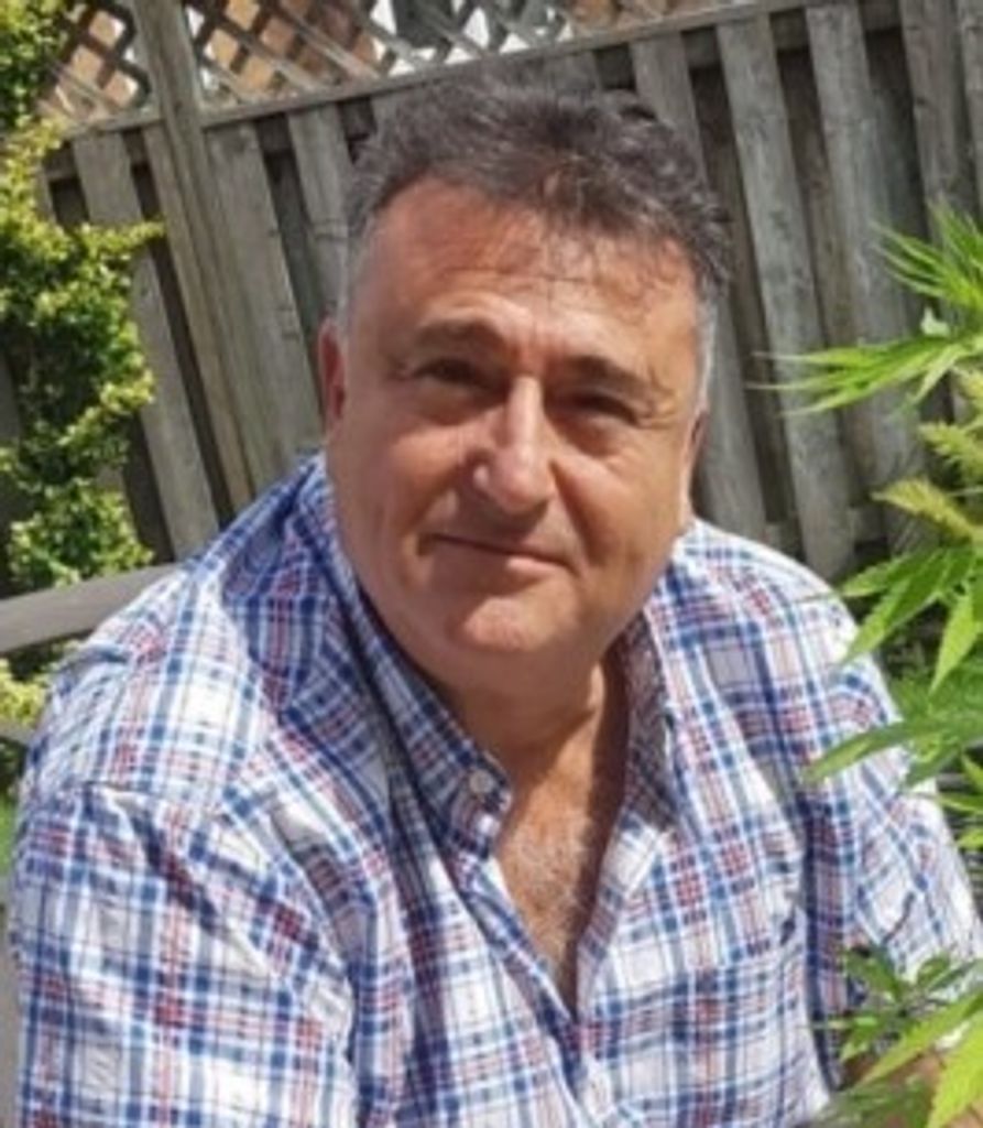 Daniel D'Aloisio