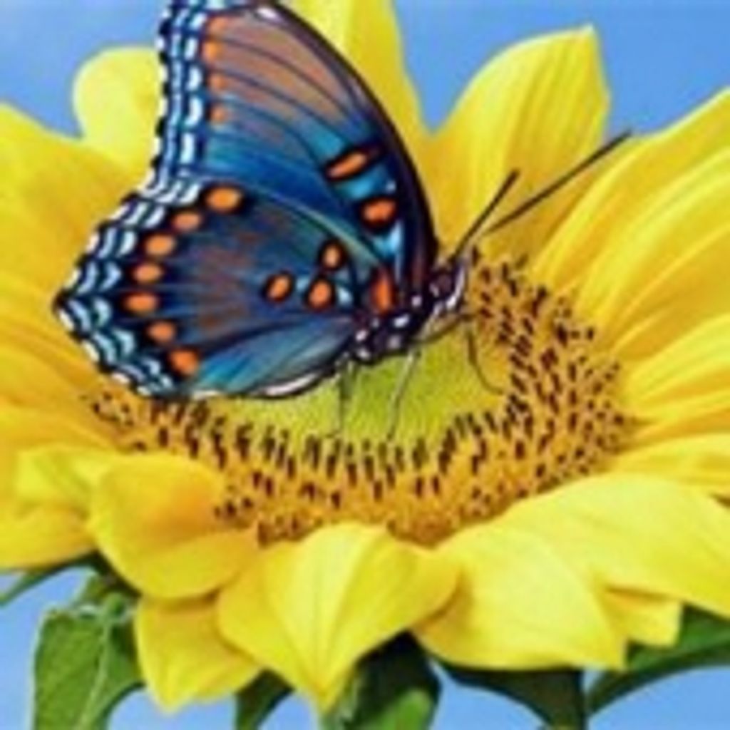 Patricia E. Eldridge