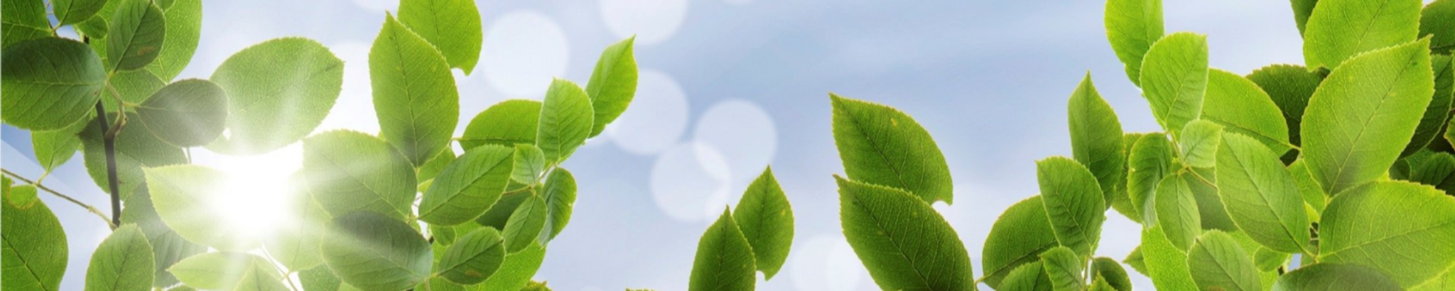 Cover photo for Vickie Ellis's Obituary