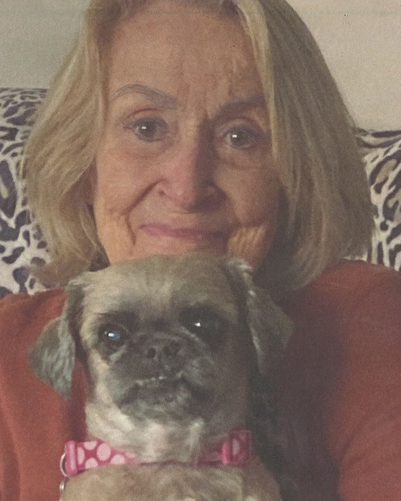 Diane Childs Fazzi Chipman