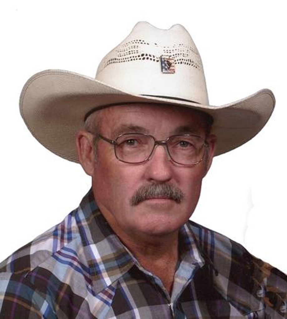 Larry B. Steinbach Profile Photo