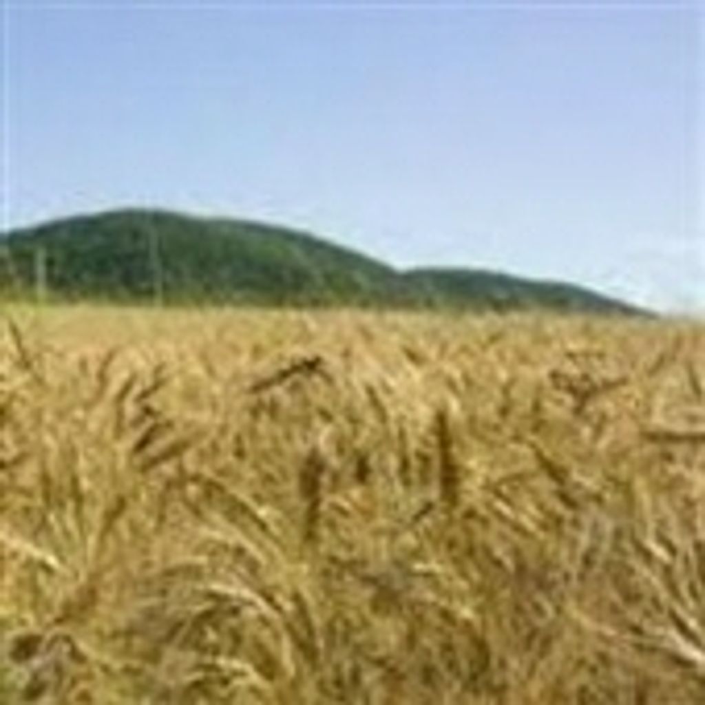 Charles Quitman Sweezy