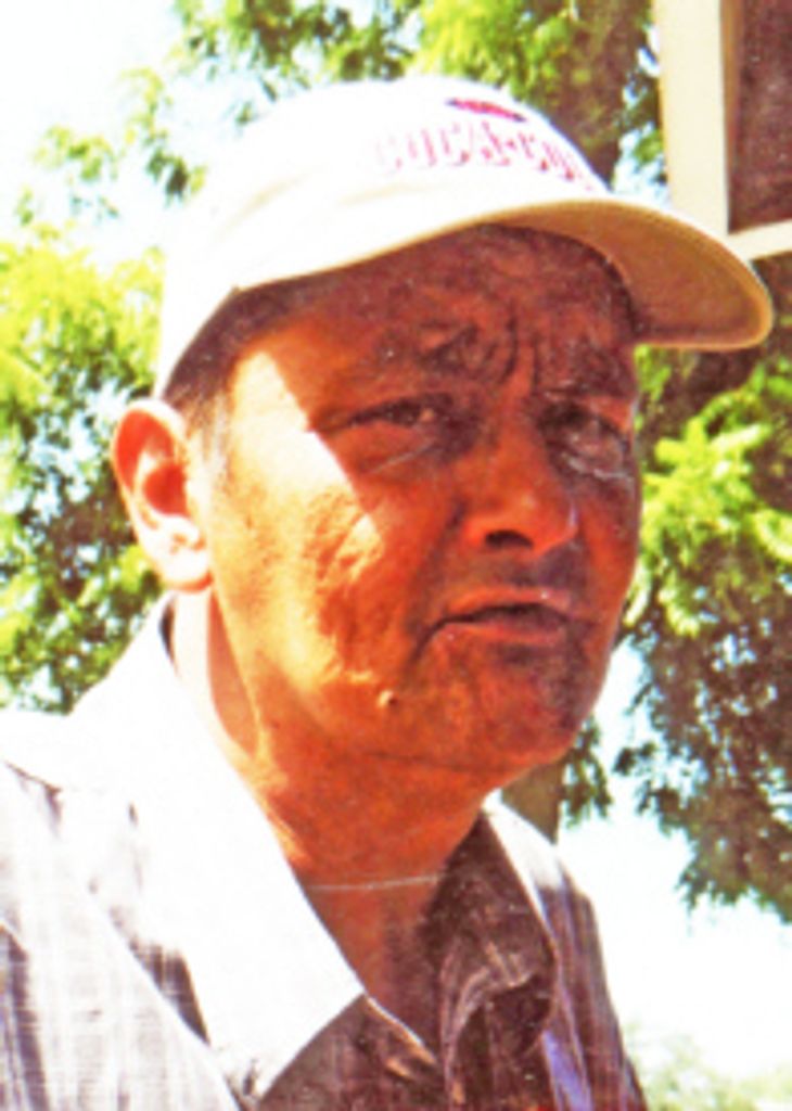 Terry L. Mcneal