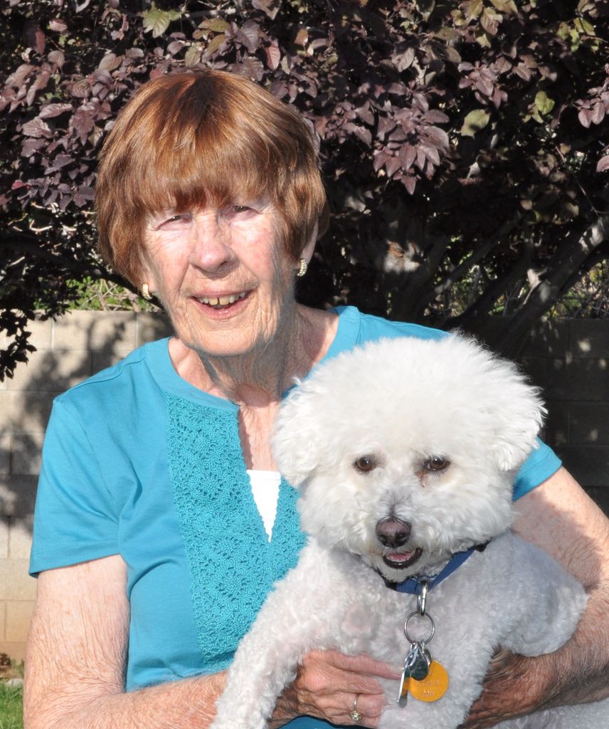 Carolyn Ruth (Tormey)  Dorso Profile Photo
