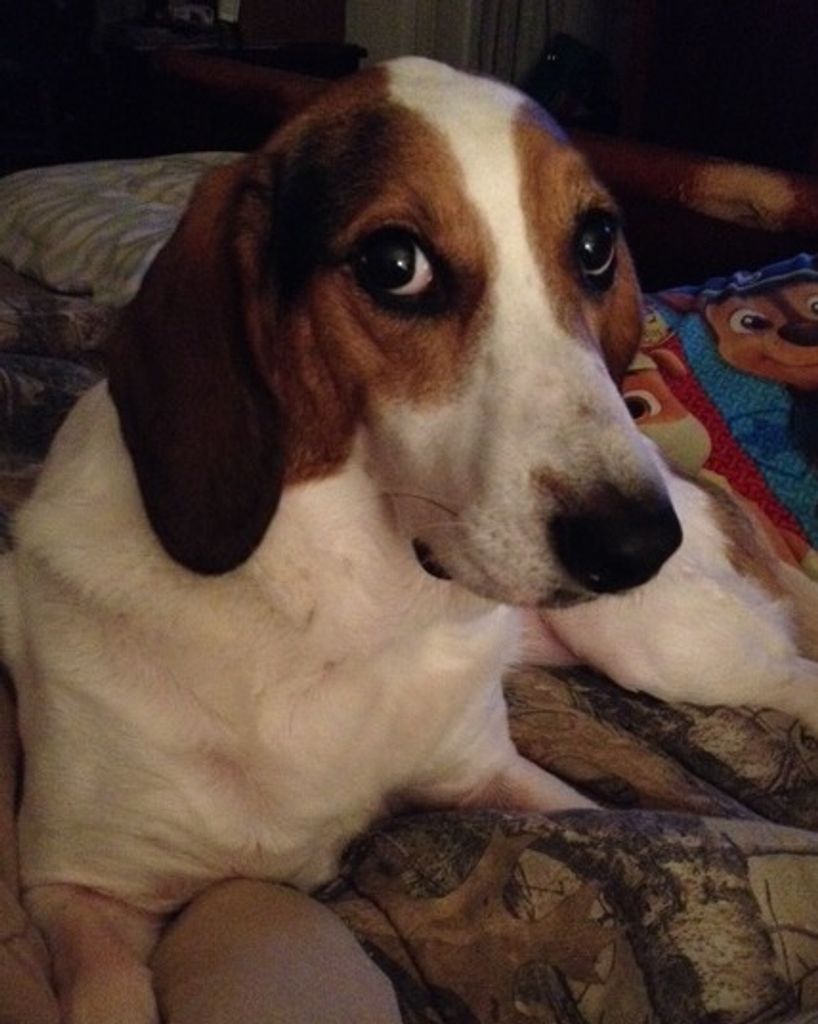 Gabby Sherrill Profile Photo