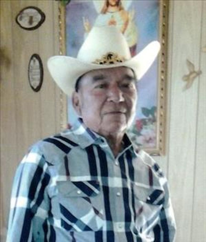Jesus Ibarra
