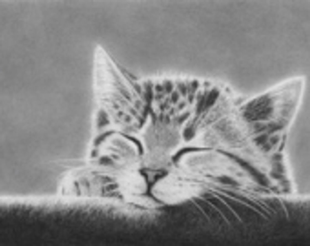 Trouble Proctor Profile Photo