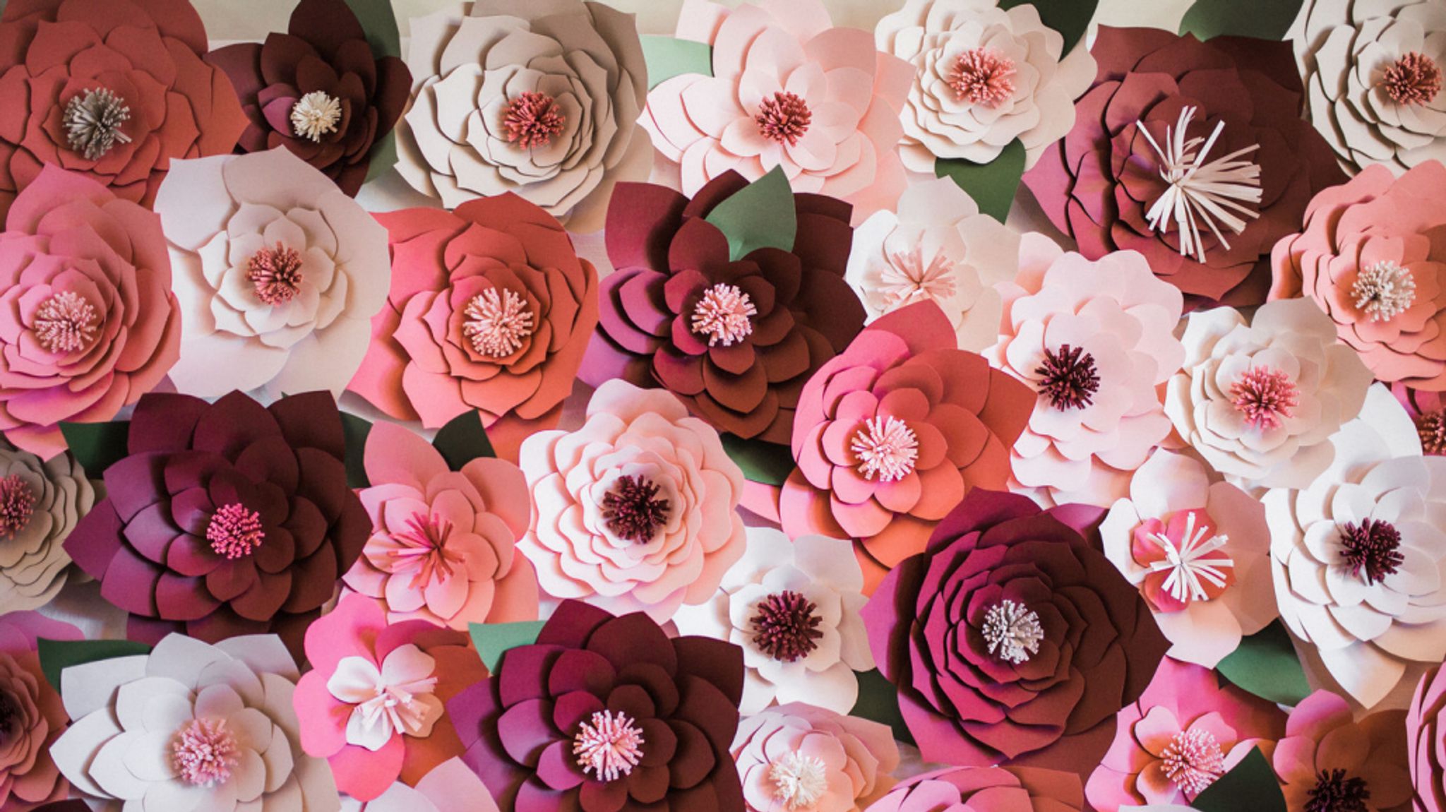 Cover for Diane Kay Harms's Obituary