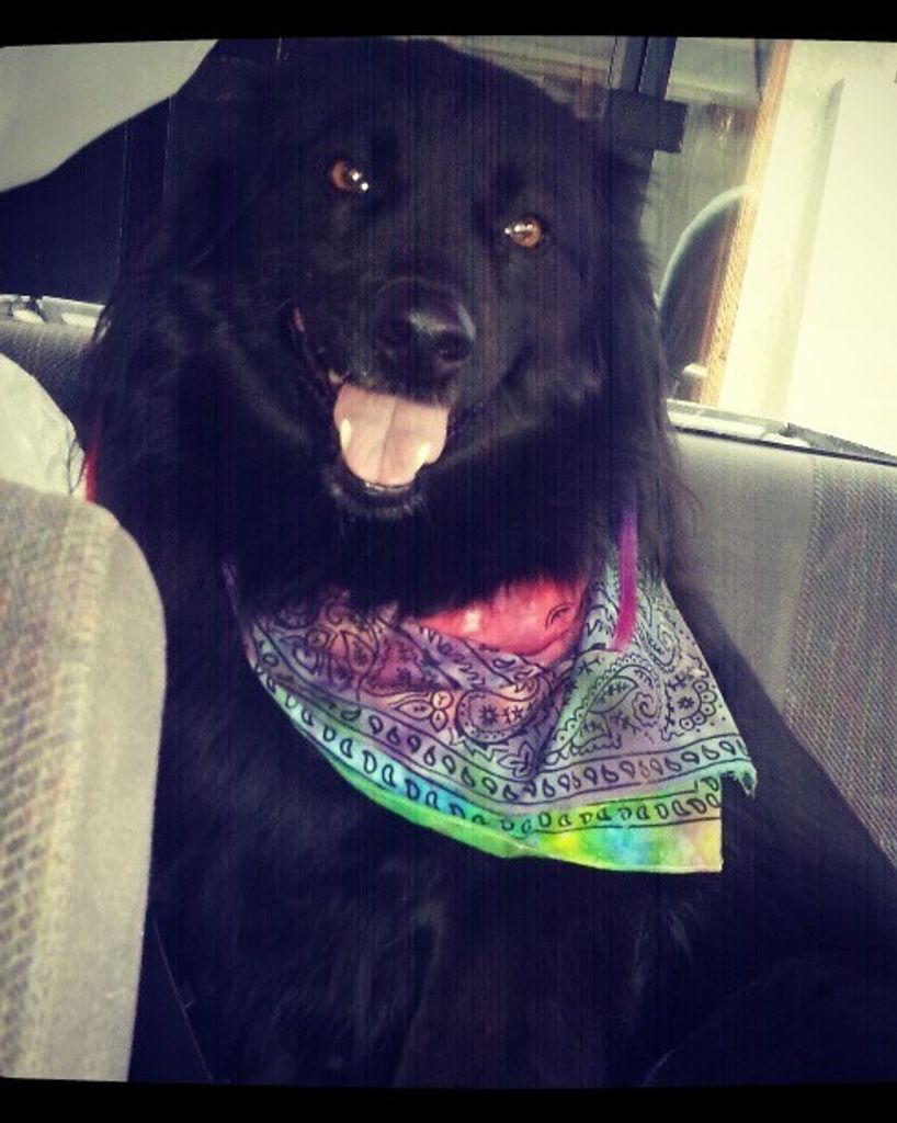 Macy Gracie Anderson