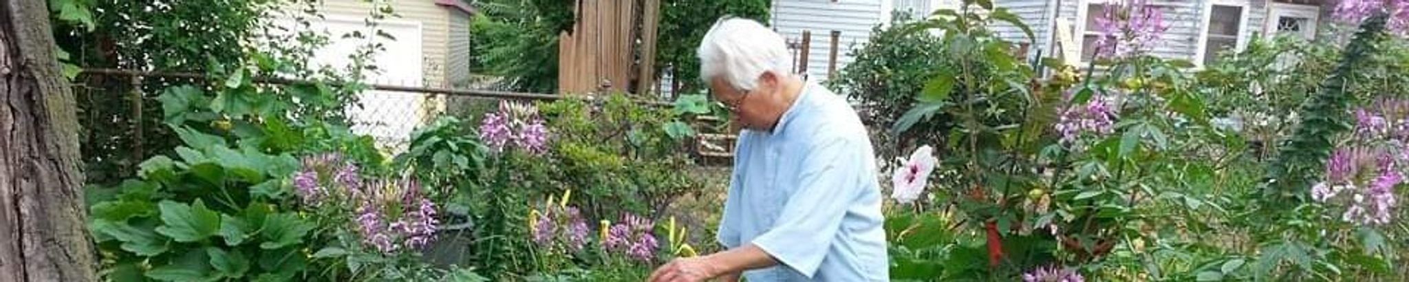 Cover for Wan Lee Fong's Obituary