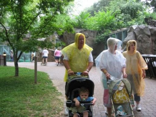 Evelyn  Elaine Flesher photo gallery thumbnail 6 of 83