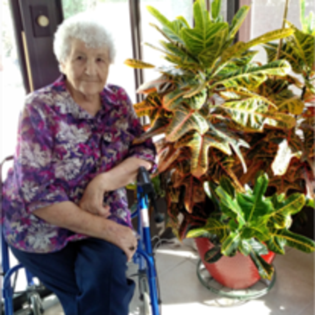 Rose B. Rhodes