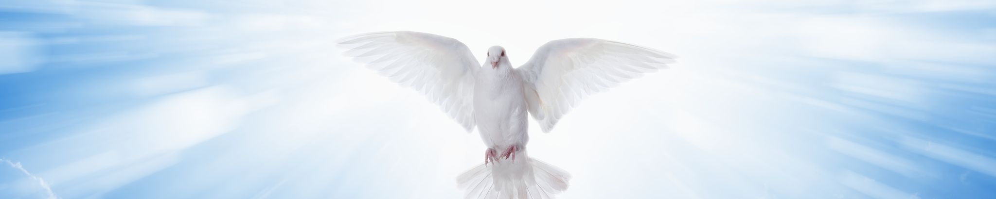 Cover photo for Alvaro Luis Ozuna Hernández's Obituary