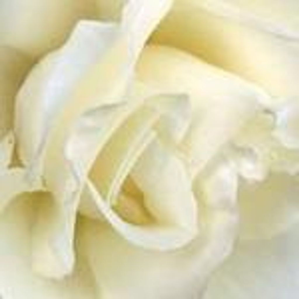 Emily (Polhill)  Watson