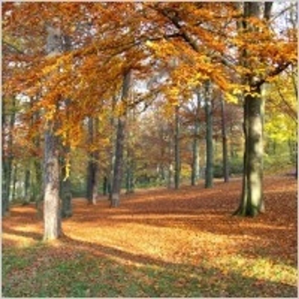 Claude Raymond Butler Profile Photo