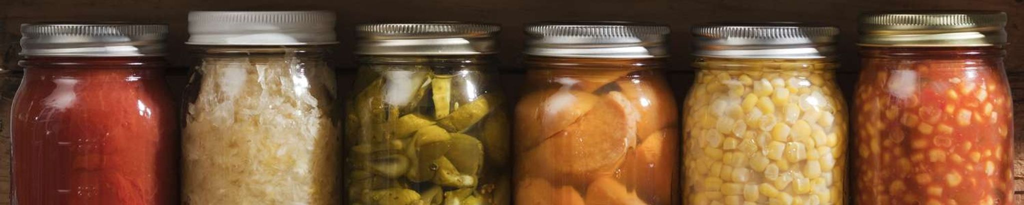 Cover for Sylvia Leola Witt's Obituary