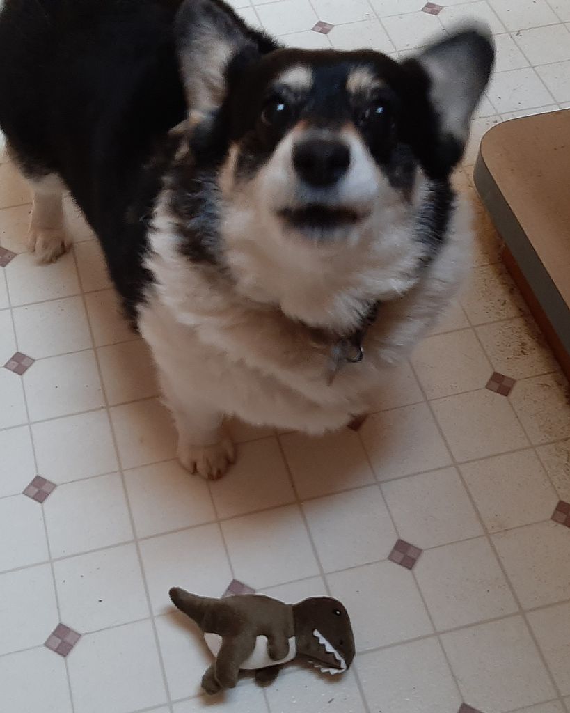 Maggie Quail Profile Photo