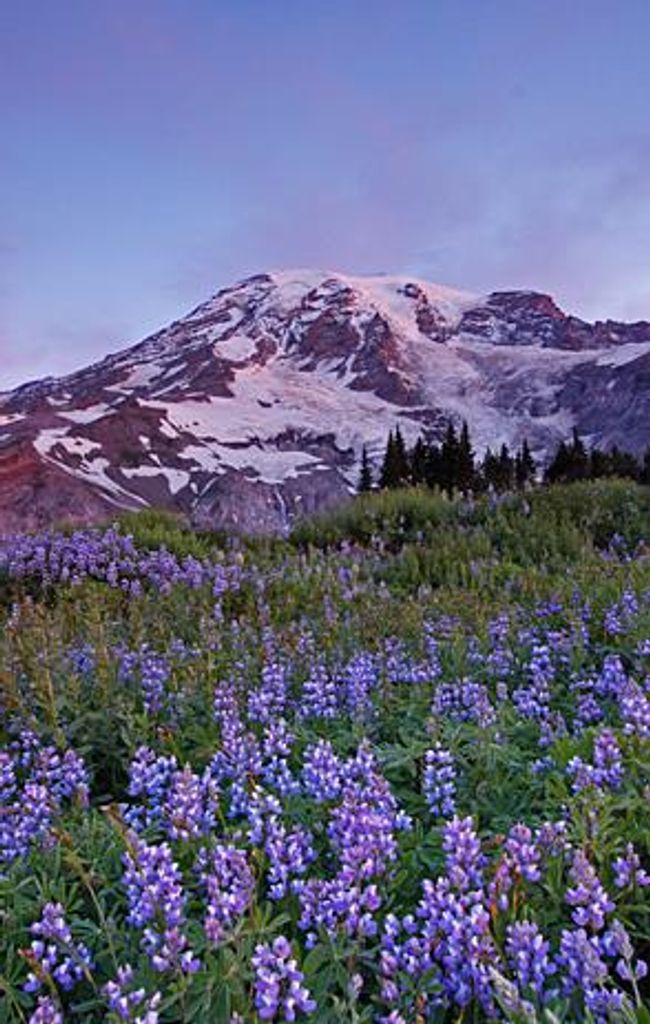 Robert "Bob" B Baker Profile Photo