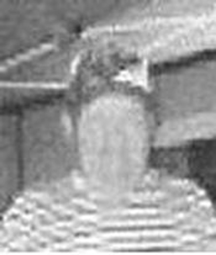 Arthur Willis Waters Profile Photo