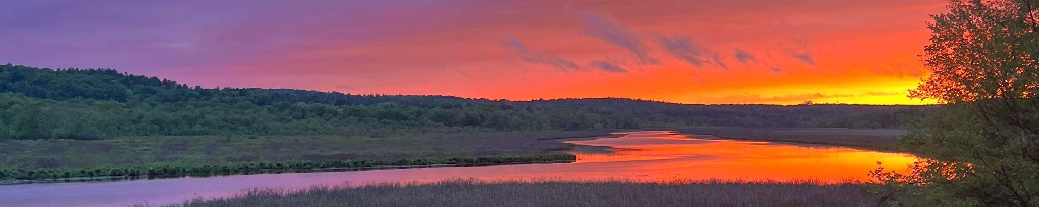 Cover photo for Janet M. Lynde's Obituary