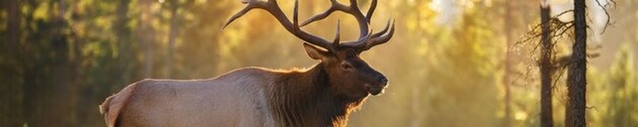 Cover for Paul Golden Vigil's Obituary