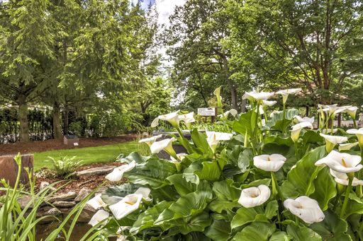 Terry Lee Cranston Profile Photo