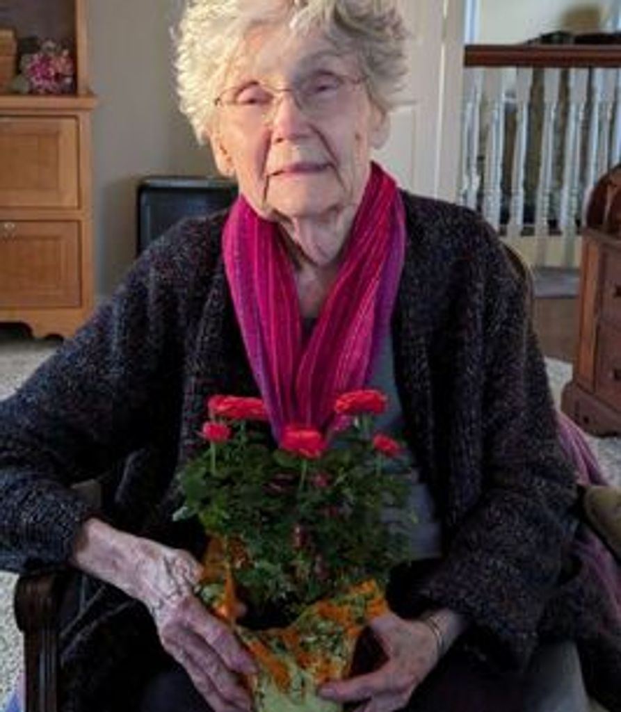 Margie Collins Profile Photo